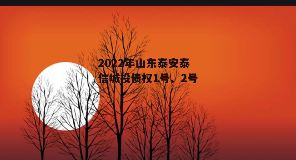 2022年山东泰安泰信城投债权1号、2号