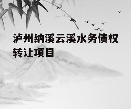 泸州纳溪云溪水务债权转让项目
