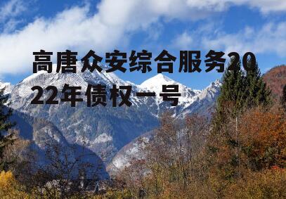 高唐众安综合服务2022年债权一号