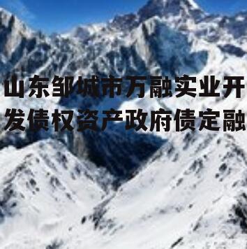 山东邹城市万融实业开发债权资产政府债定融