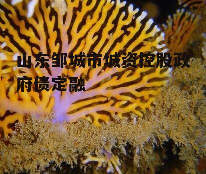 山东邹城市城资控股政府债定融