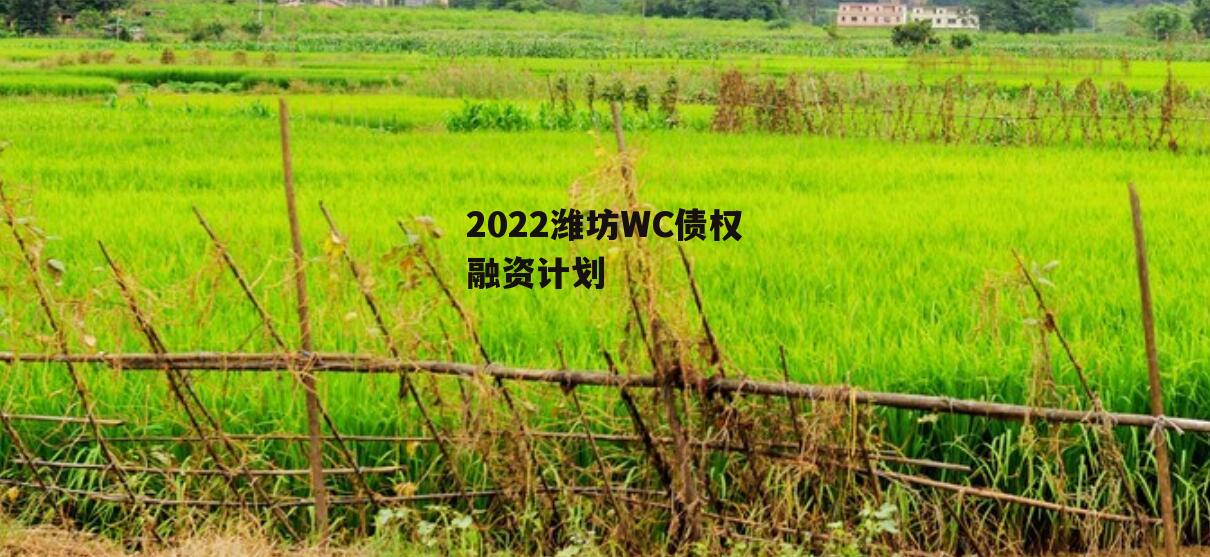 2022潍坊WC债权融资计划