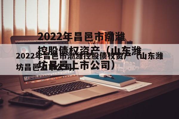 2022年昌邑市渤潍控股债权资产（山东潍坊昌邑上市公司）