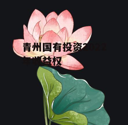 青州国有投资2022年收益权