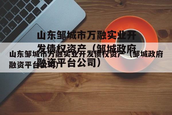 山东邹城市万融实业开发债权资产（邹城政府融资平台公司）