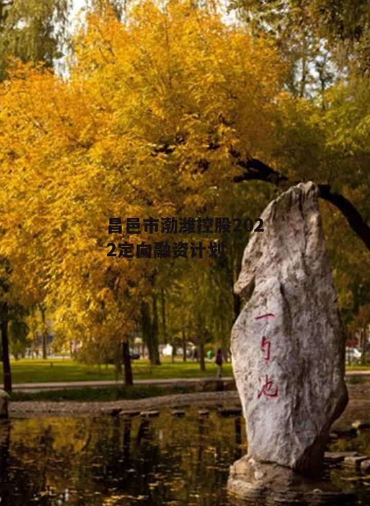 昌邑市渤潍控股2022定向融资计划