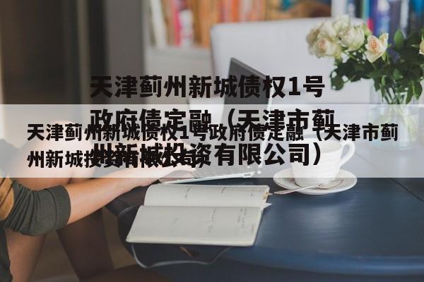 天津蓟州新城债权1号政府债定融（天津市蓟州新城投资有限公司）