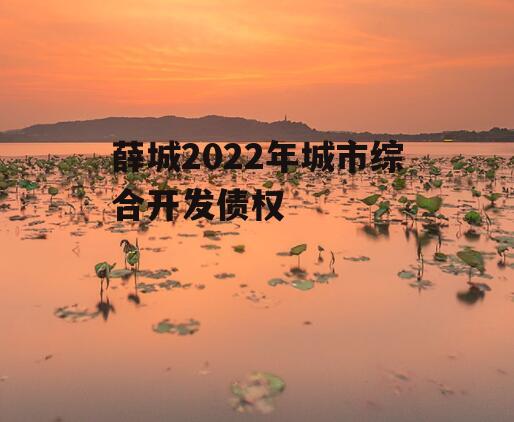 薛城2022年城市综合开发债权