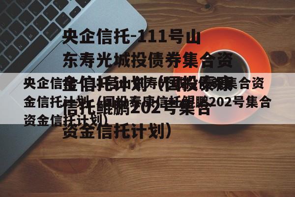 央企信托-111号山东寿光城投债券集合资金信托计划（国投泰康信托鲲鹏202号集合资金信托计划）