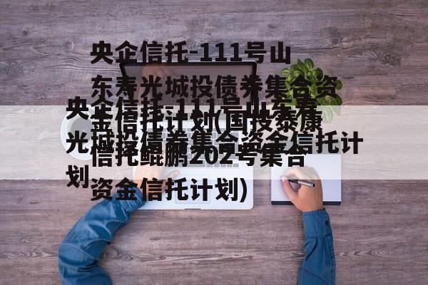 央企信托-111号山东寿光城投债券集合资金信托计划(国投泰康信托鲲鹏202号集合资金信托计划)