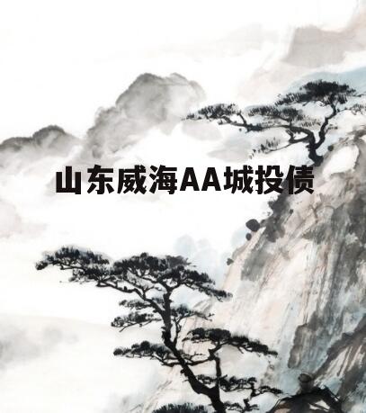 山东威海AA城投债