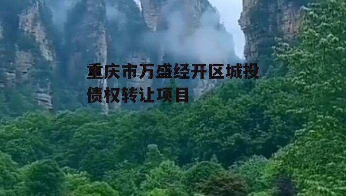 重庆市万盛经开区城投债权转让项目