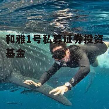 和雅1号私募证券投资基金