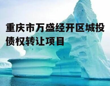 重庆市万盛经开区城投债权转让项目