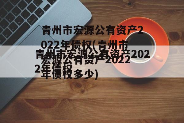 青州市宏源公有资产2022年债权(青州市宏源公有资产2022年债权多少)