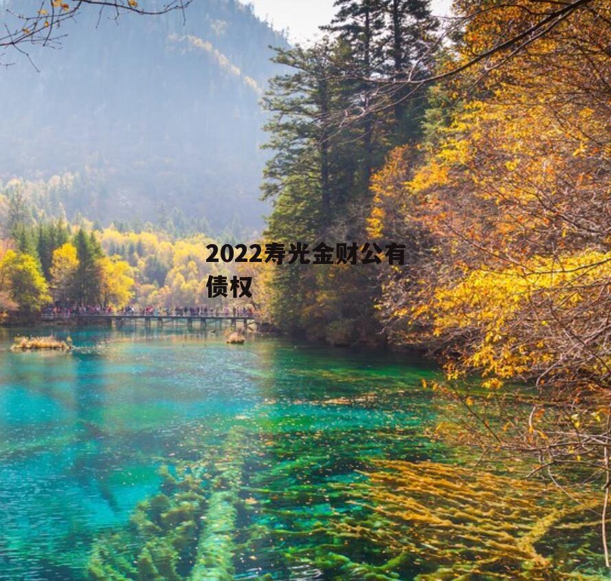 2022寿光金财公有债权