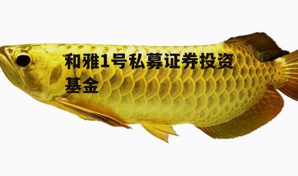 和雅1号私募证券投资基金