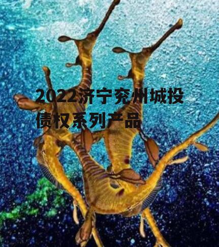 2022济宁兖州城投债权系列产品