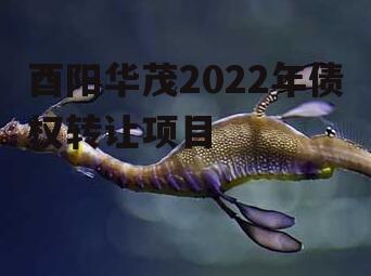 酉阳华茂2022年债权转让项目