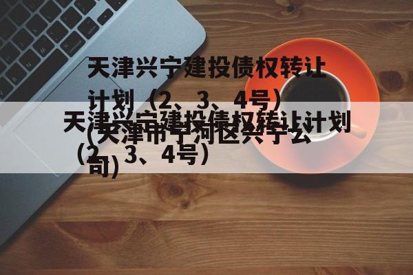 天津兴宁建投债权转让计划（2、3、4号）(天津市宁河区兴宁公司)
