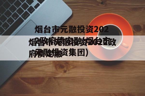 烟台市元融投资2022政府债定融(烟台市元融投资集团)