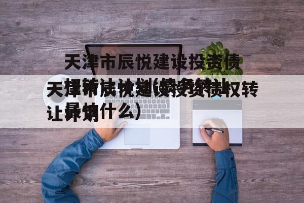 天津市辰悦建设投资债权转让计划(债务转让最怕什么)