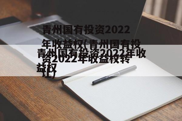 青州国有投资2022年收益权(青州国有投资2022年收益权转让)