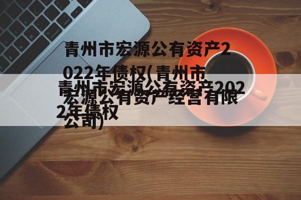 青州市宏源公有资产2022年债权(青州市宏源公有资产经营有限公司)