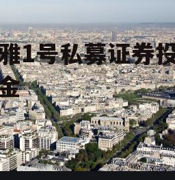 和雅1号私募证券投资基金