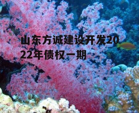 山东方诚建设开发2022年债权一期