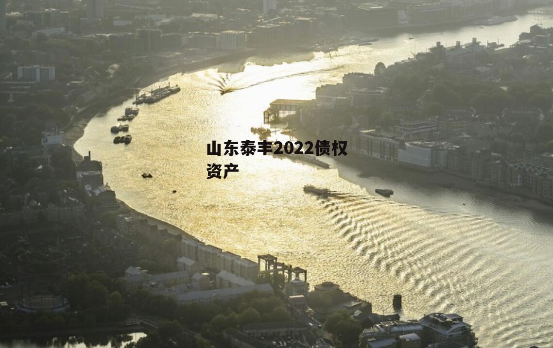 山东泰丰2022债权资产