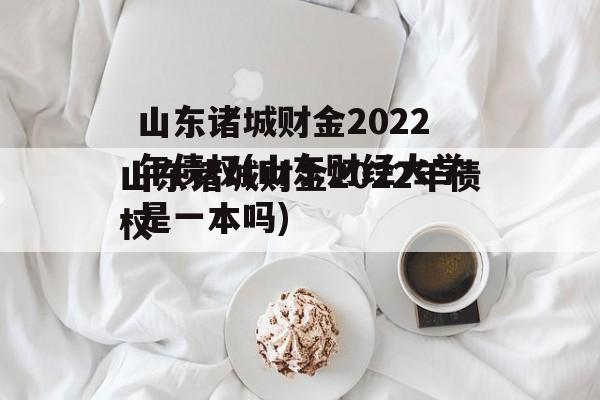 山东诸城财金2022年债权(山东财经大学是一本吗)