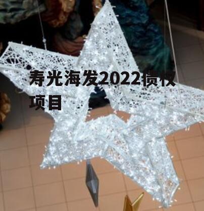 寿光海发2022债权项目