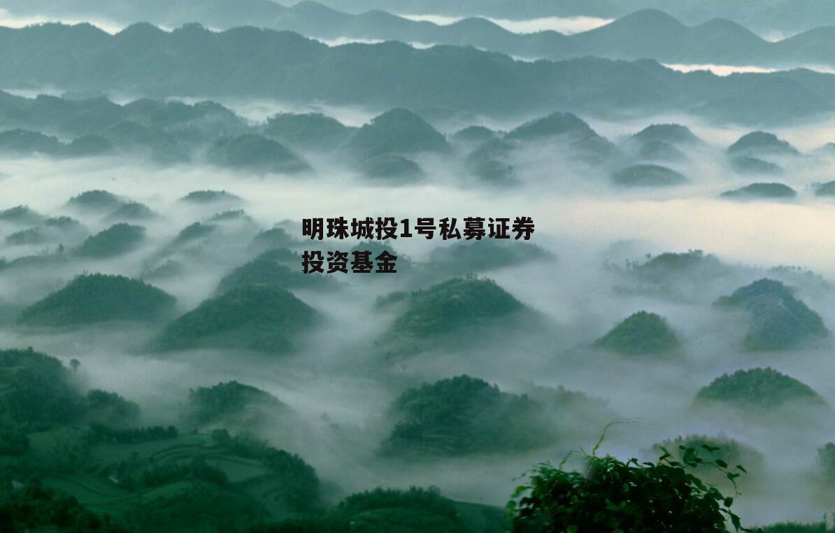 明珠城投1号私募证券投资基金