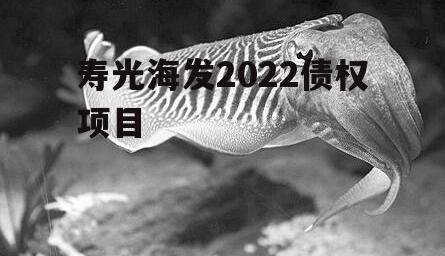 寿光海发2022债权项目