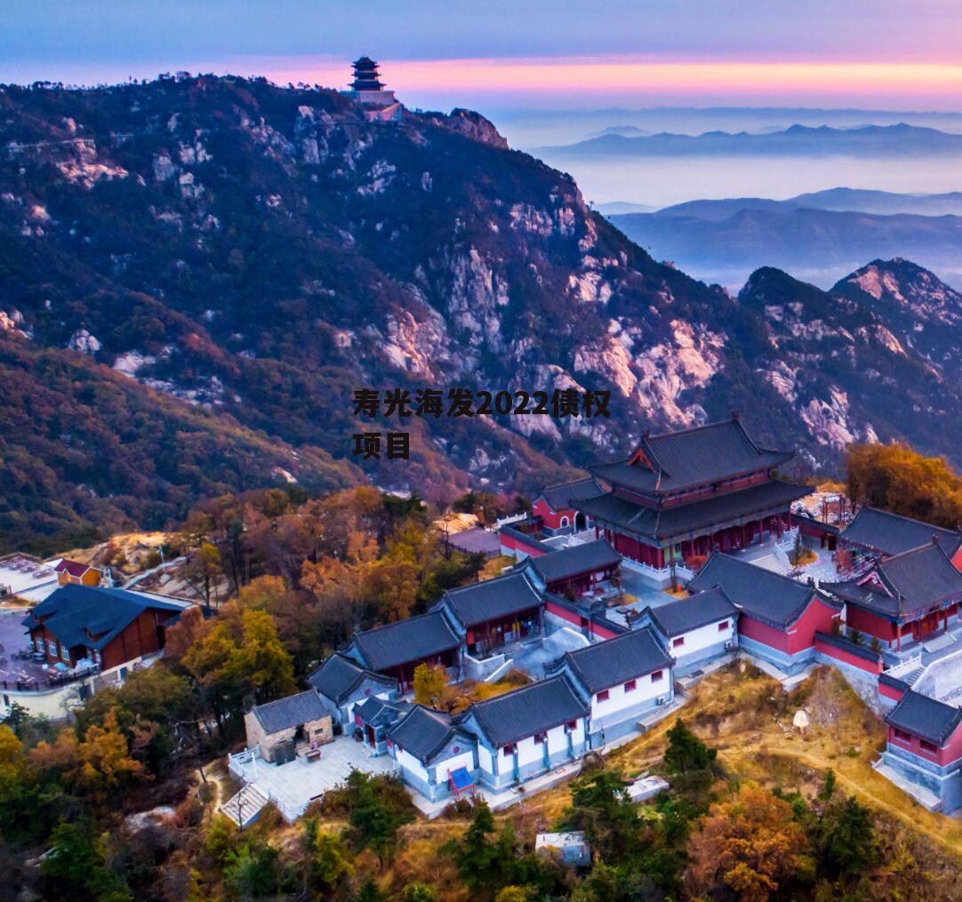 寿光海发2022债权项目