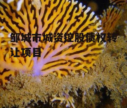 邹城市城资控股债权转让项目