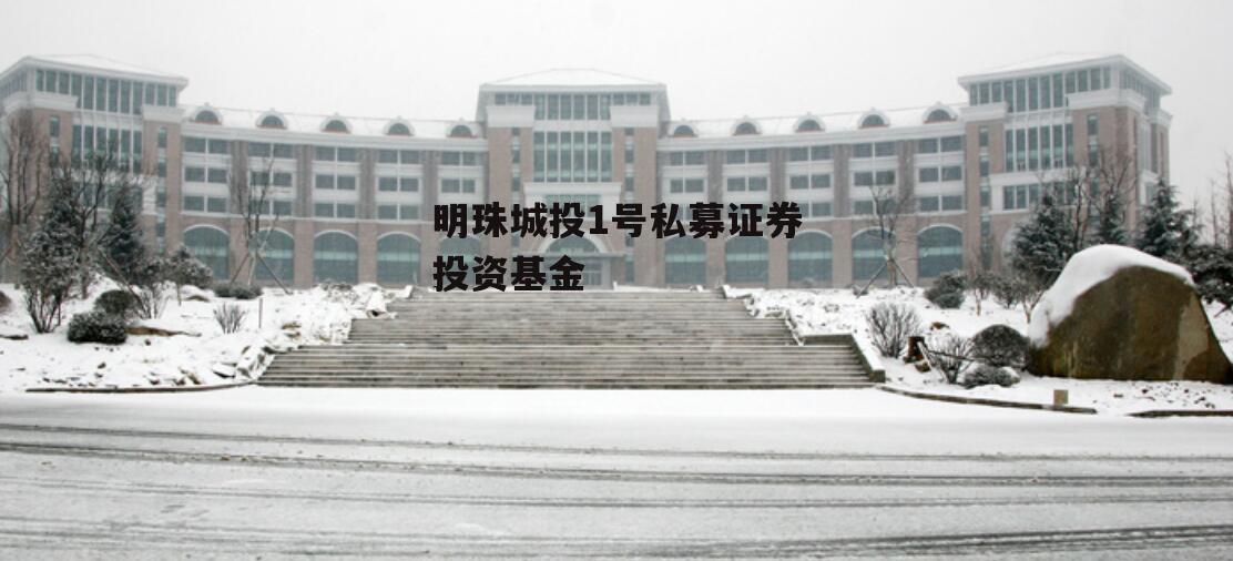 明珠城投1号私募证券投资基金