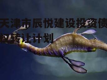 天津市辰悦建设投资债权转让计划
