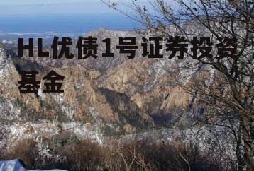 HL优债1号证券投资基金