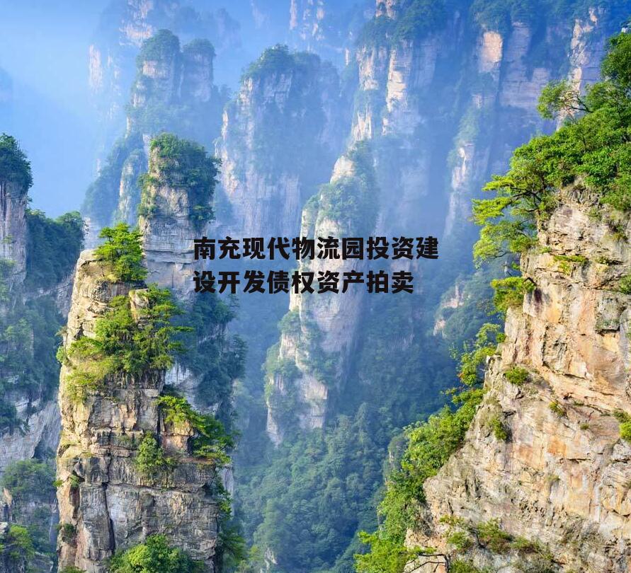 南充现代物流园投资建设开发债权资产拍卖
