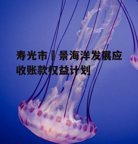 寿光市昇景海洋发展应收账款权益计划