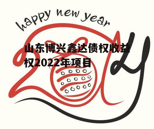 山东博兴鑫达债权收益权2022年项目
