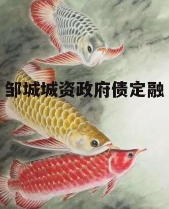 邹城城资政府债定融