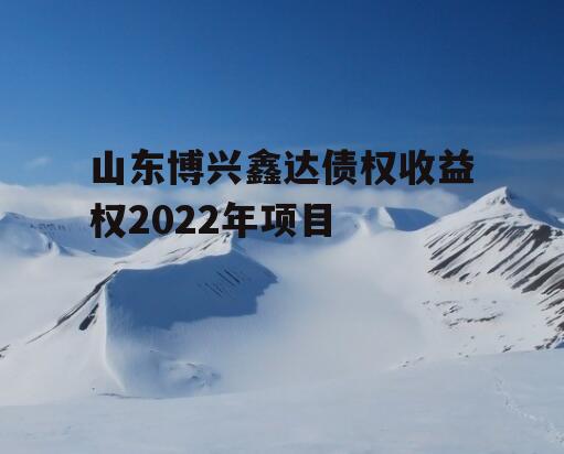 山东博兴鑫达债权收益权2022年项目