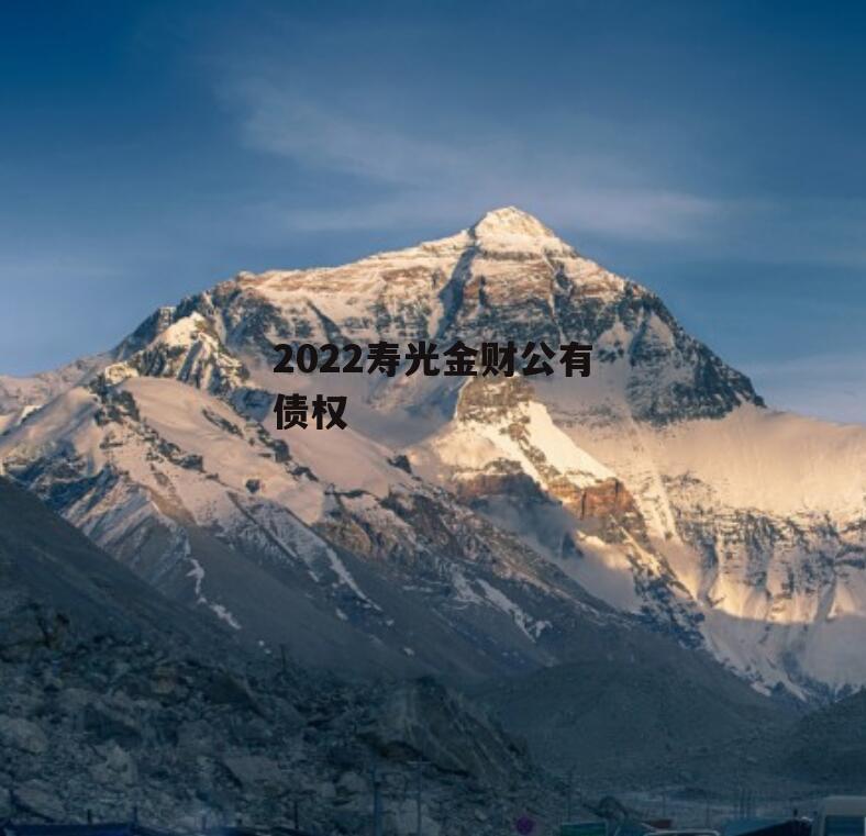 2022寿光金财公有债权