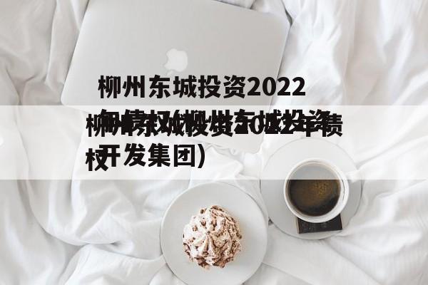 柳州东城投资2022年债权(柳州东城投资开发集团)