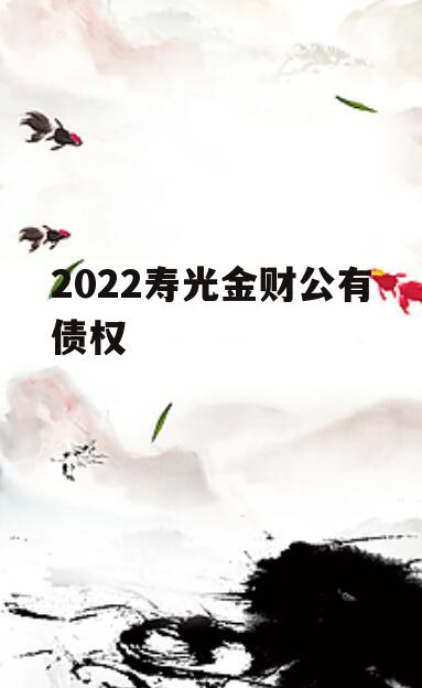 2022寿光金财公有债权