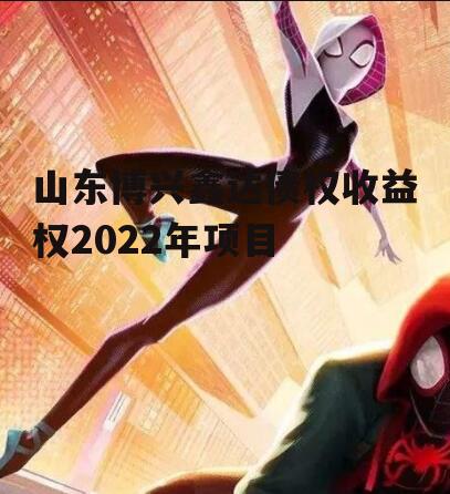 山东博兴鑫达债权收益权2022年项目