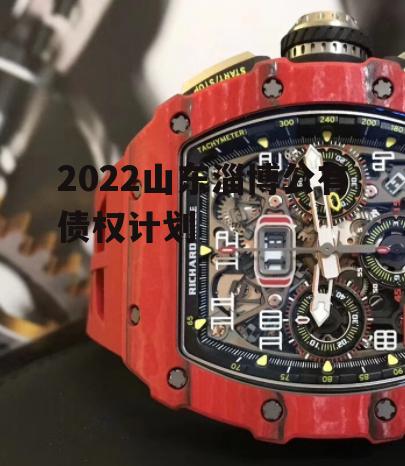 2022山东淄博公有债权计划